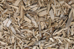 biomass boilers Pontrhydyrun